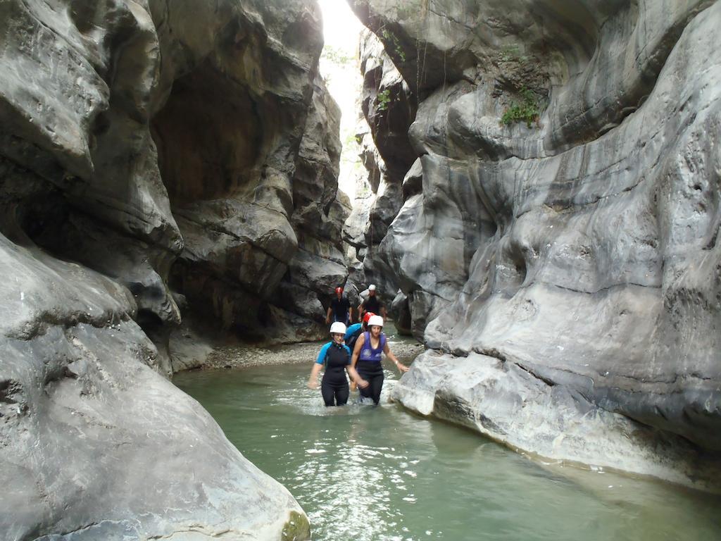 B&B La Ginestra ชิวิตา ภายนอก รูปภาพ
